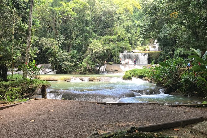 YS Falls Private Full-Day Adventure Tour with Pickup - Swim zones, lifeguards, and the natural pool for non-swimmers