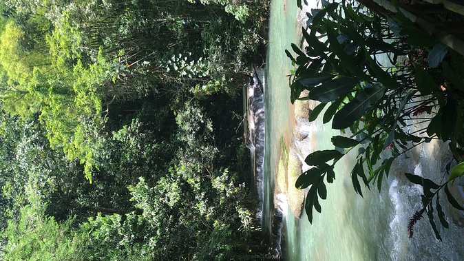 YS Falls Private Full-Day Adventure Tour with Pickup - Zipline canopy rides, thrill time with guides at the ready