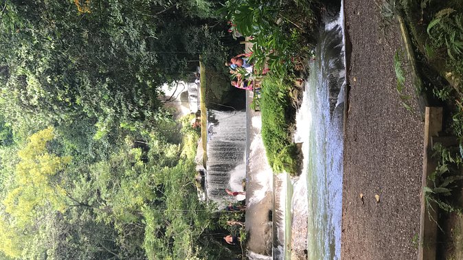 YS Falls Private Full-Day Adventure Tour with Pickup - The tractor and jitney ride, tickets first, bathrooms on site