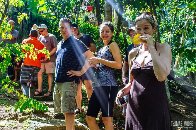 Zimbali's Rasta Tour Lunch - From Negril to Zimbali: the ride and why it matters