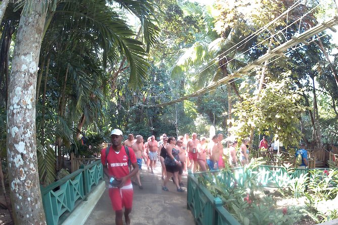 Zip Line over the Dunns River Falls - Ziplining Over Dunn’s River Falls: Why This Combo Feels Worth It