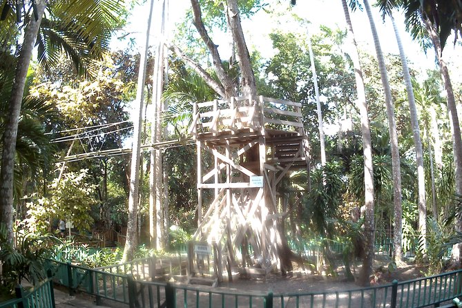 Zip Line over the Dunns River Falls - The Zip Line Setup, Safety Gear, And What the Start Area Can Feel Like
