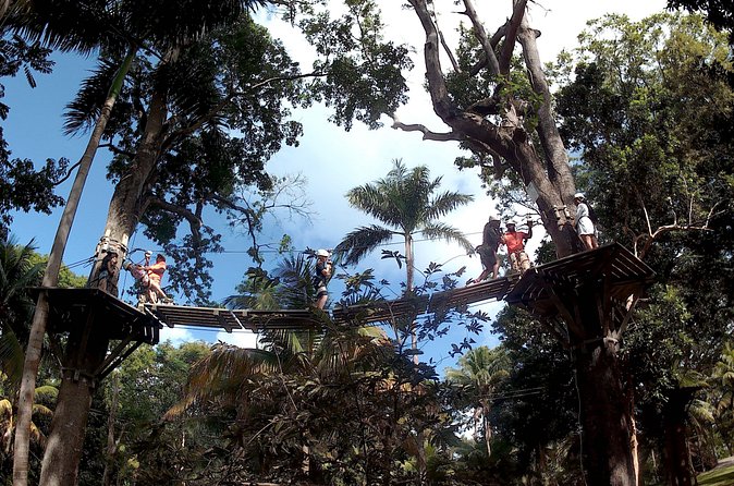 Zip Line over the Dunns River Falls - Private Tour Comfort: What You Gain (and What You Don’t)