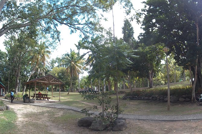 Zip Line over the Dunns River Falls - Price and Value: Is $192.67 a Fair Deal?