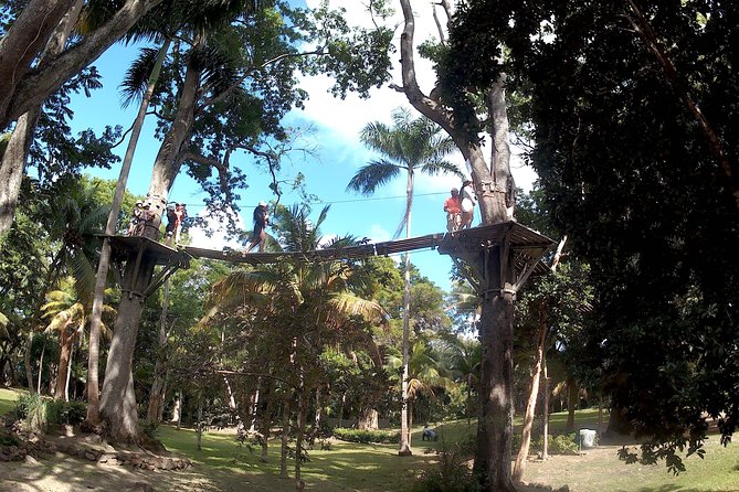 Zip Line over the Dunns River Falls - Who Should Book This Tour (And Who Might Pass)
