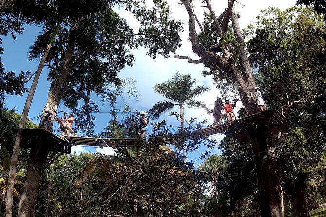 Zip Line over the Dunns River Falls - Practical Tips to Make Your 4 Hours Go Smoothly