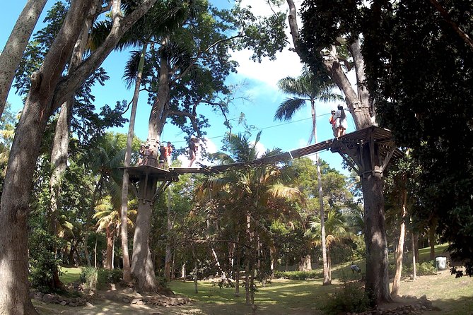 Zip Line over the Dunns River Falls - Views From the Top, and How It Changes Dunn’s River