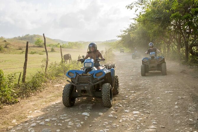 Zip-lining/Horseback Rides/Cat & Atv Inclusive Act with Transpo From Montego Bay - From Montego Bay hotel pickup to backcountry time