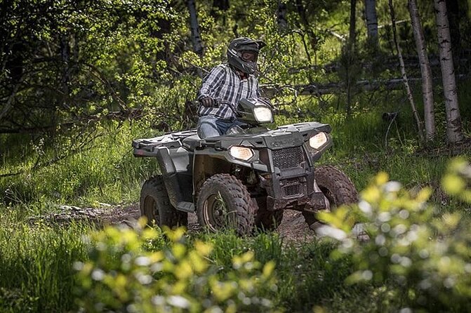 Zip-lining/Horseback Rides/Cat & Atv Inclusive Act with Transpo From Montego Bay - Zipline time: fast thrills with real safety expectations
