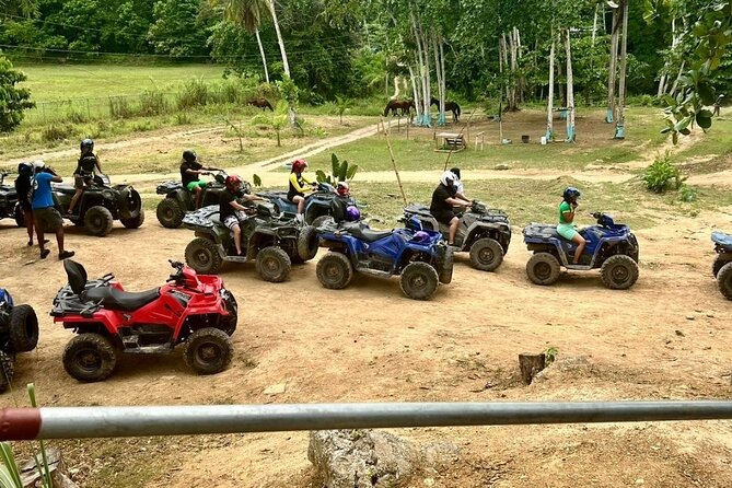 Zipline, Horseback Ride and Swim and Quad ATV bike in Negril - The real secret sauce: timing and hospitality from Fabian and Kings Tour Ja