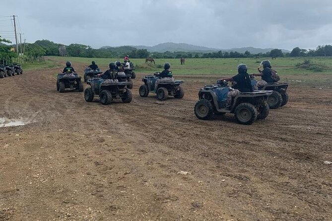 Zipline, Horseback Ride, ATV and Catamaran from Montego Bay - A Fast, Four-Part Adventure Day from Montego Bay